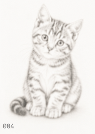 darker cat